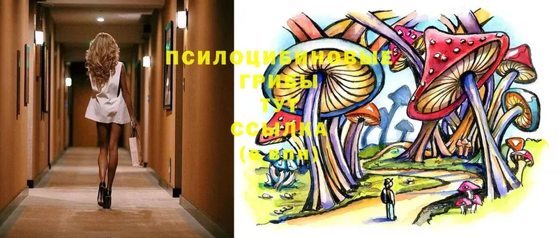 Галлюциногенные грибы Psilocybe  ОМГ ОМГ рабочий сайт  Дедовск 